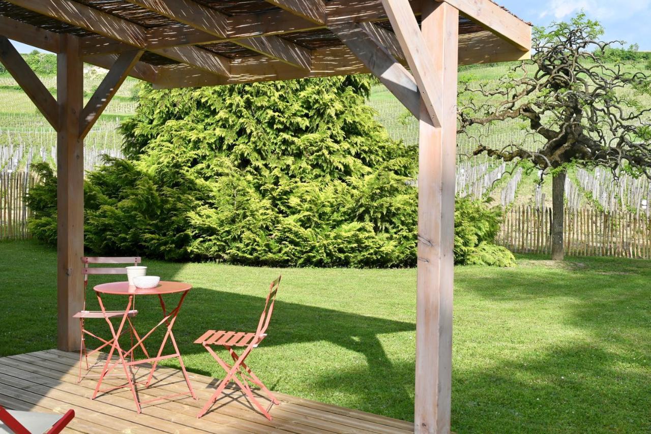 Villa New Luxe Au Coeur Des Vignes à St Emilion